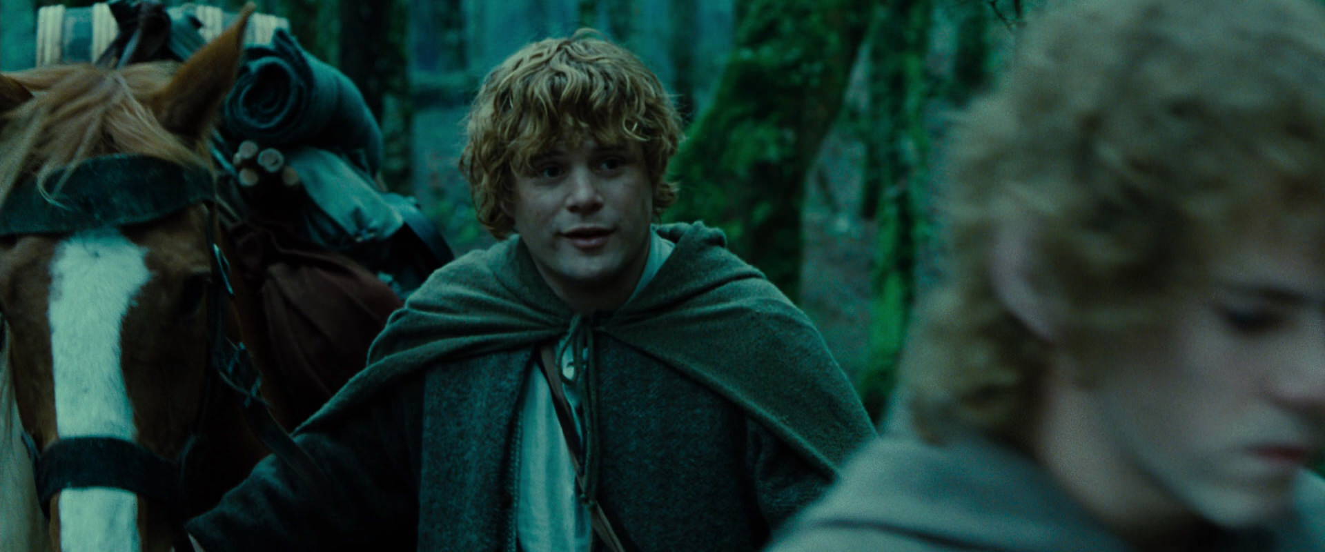 The Lord of the Rings: The Fellowship of the Ring (2001) screencap 7680