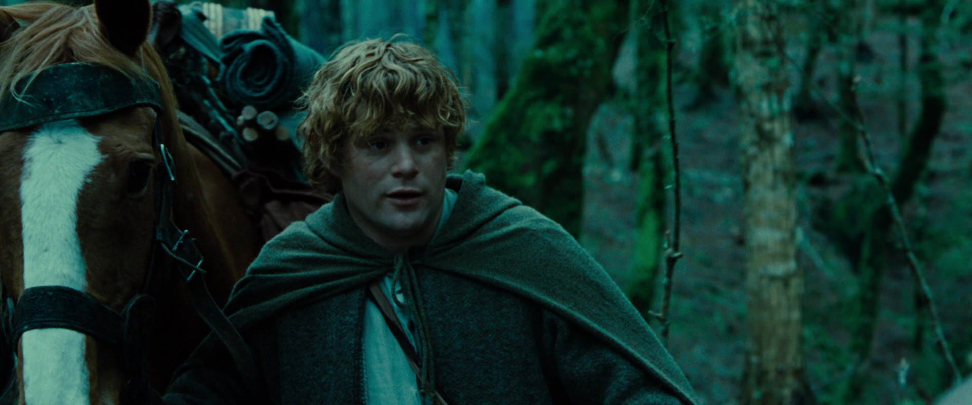 The Lord of the Rings: The Fellowship of the Ring (2001) movie still 7681