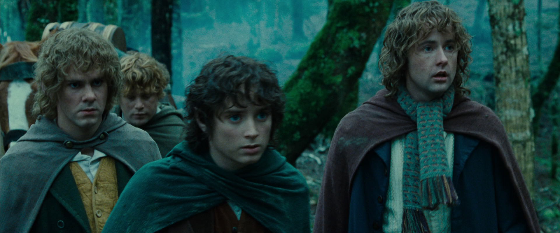 The Lord of the Rings: The Fellowship of the Ring (2001) movie still 7687