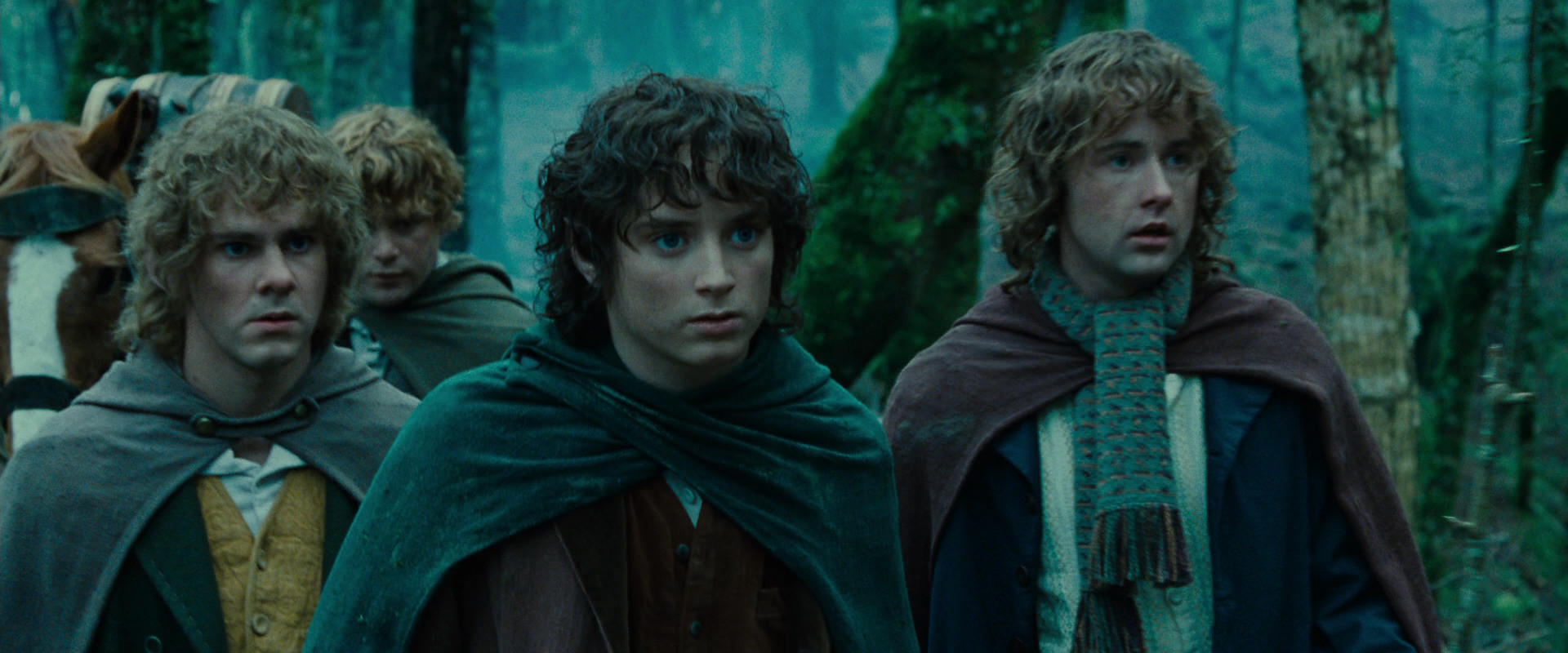 The Lord of the Rings: The Fellowship of the Ring (2001) HD screenshot 7688