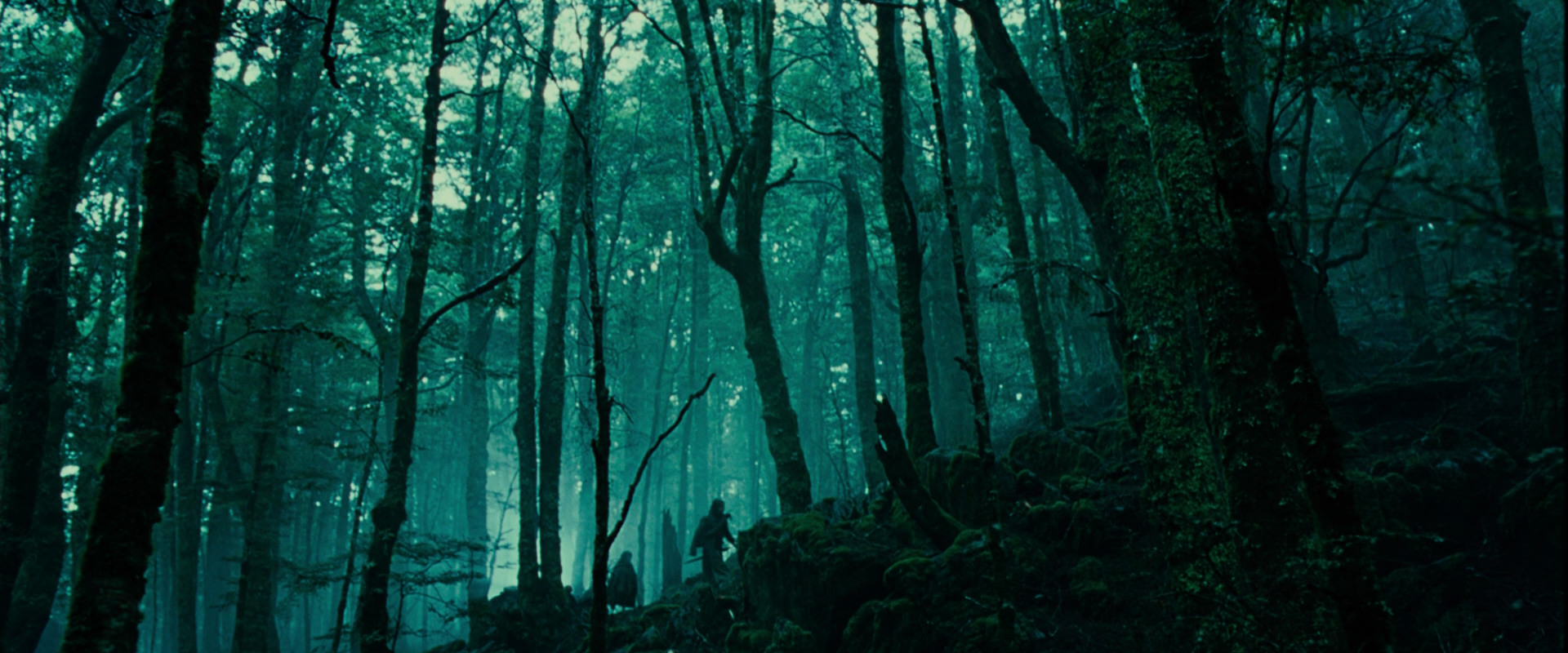 The Lord of the Rings: The Fellowship of the Ring (2001) HD screenshot 7694