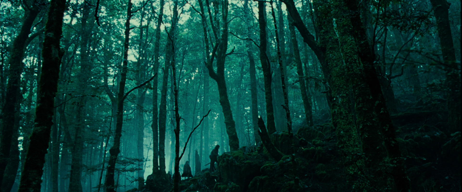 The Lord of the Rings: The Fellowship of the Ring (2001) screencap 7695