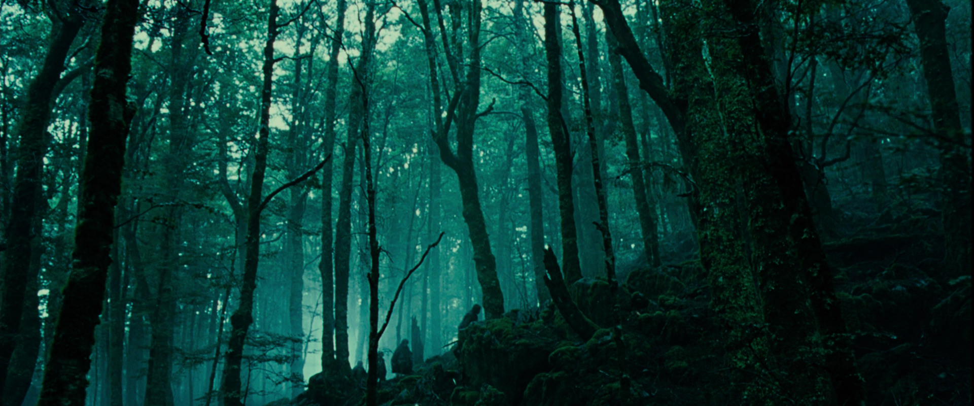 The Lord of the Rings: The Fellowship of the Ring (2001) movie still 7696