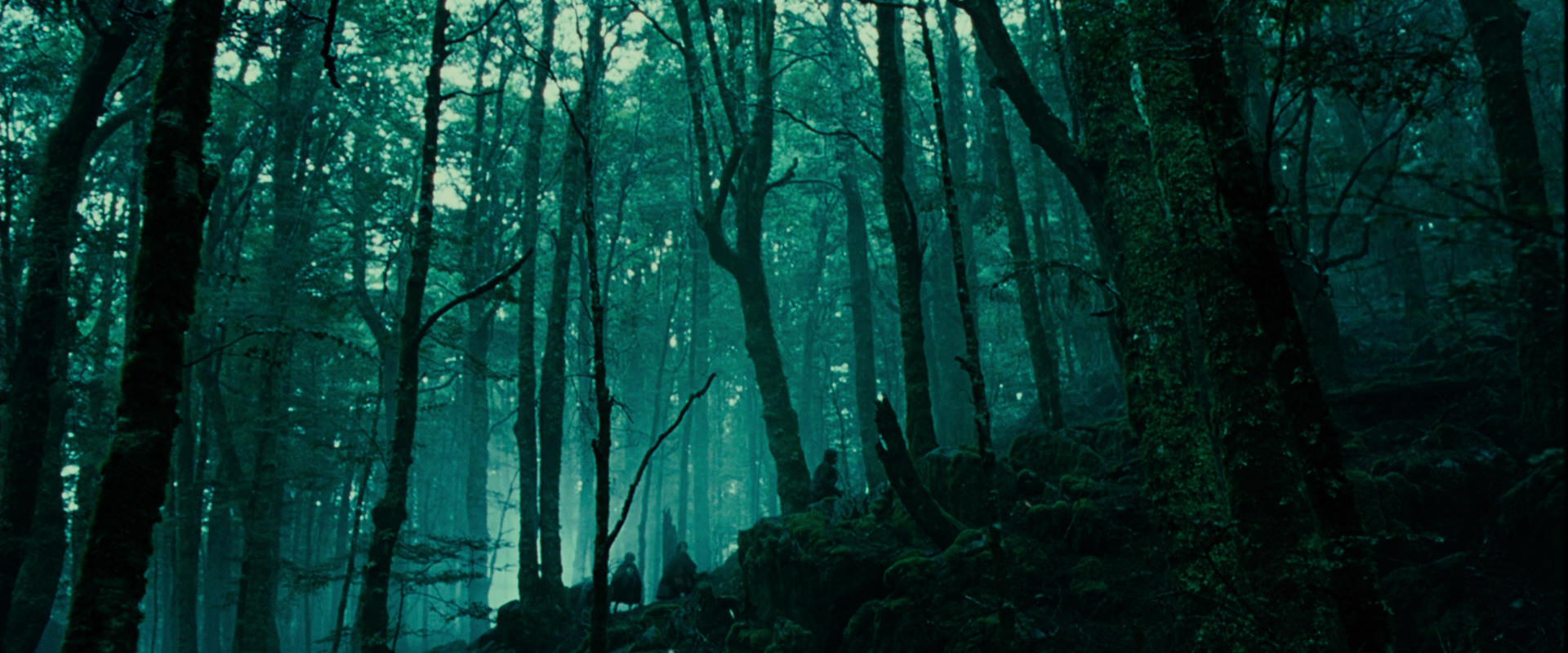 The Lord of the Rings: The Fellowship of the Ring (2001) screencap 7698