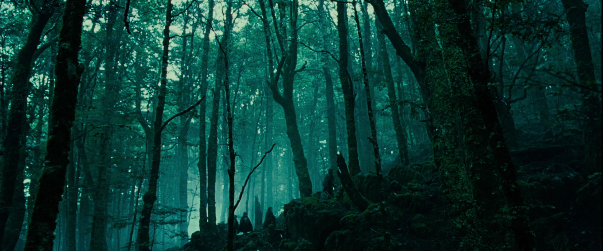 The Lord of the Rings: The Fellowship of the Ring (2001) movie still 7699