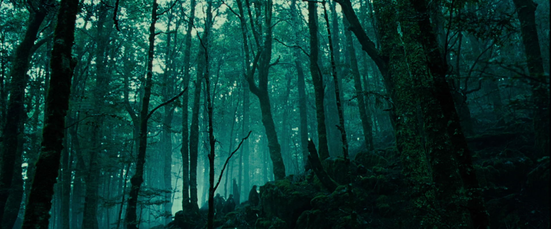 The Lord of the Rings: The Fellowship of the Ring (2001) HD screenshot 7700