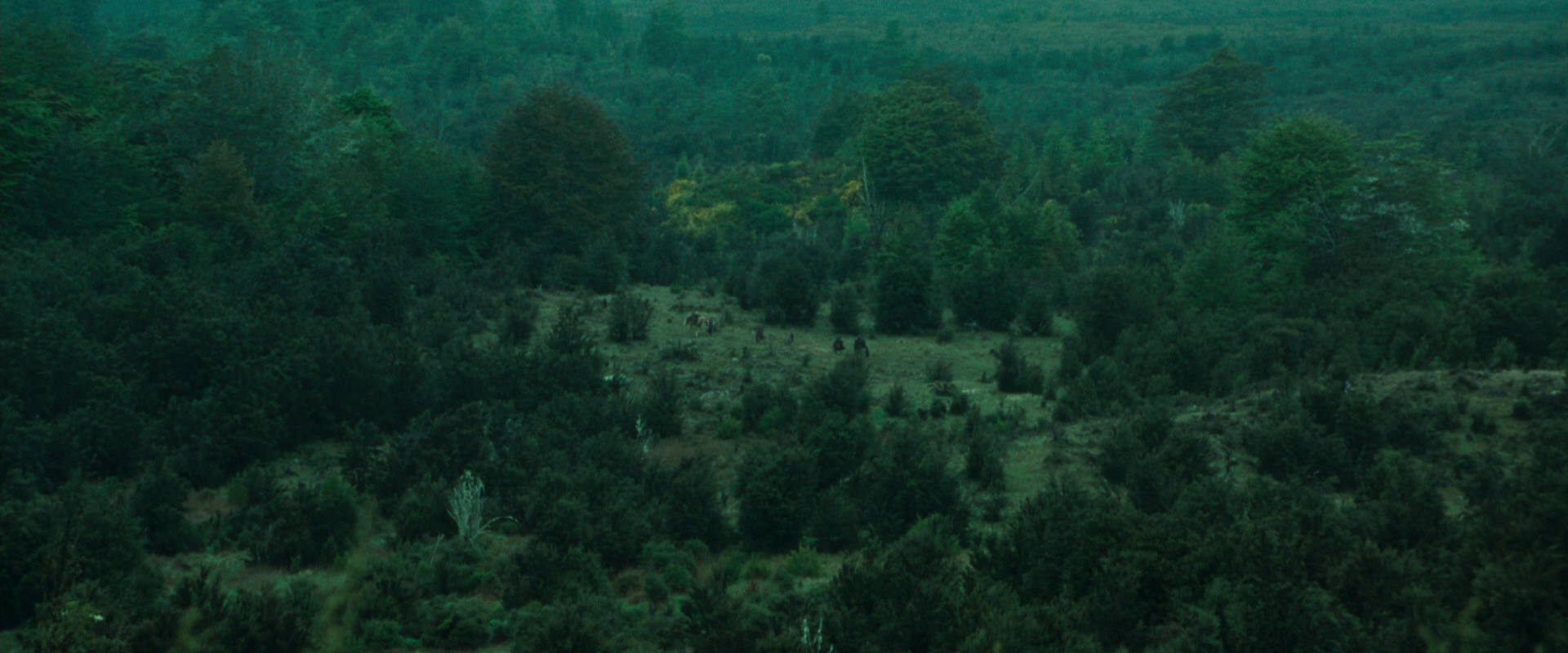 The Lord of the Rings: The Fellowship of the Ring (2001) movie still 7705