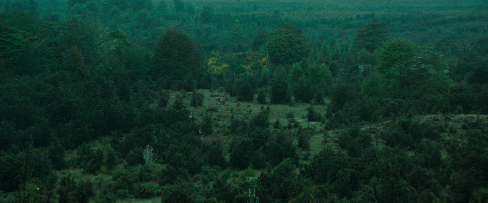 The Lord of the Rings: The Fellowship of the Ring (2001) HD screenshot 7706