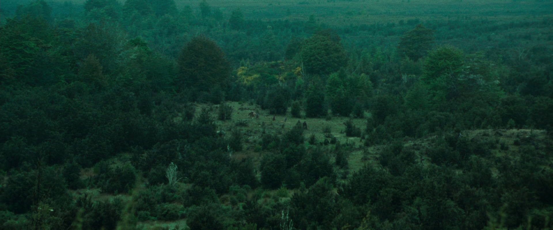 The Lord of the Rings: The Fellowship of the Ring (2001) screencap 7707