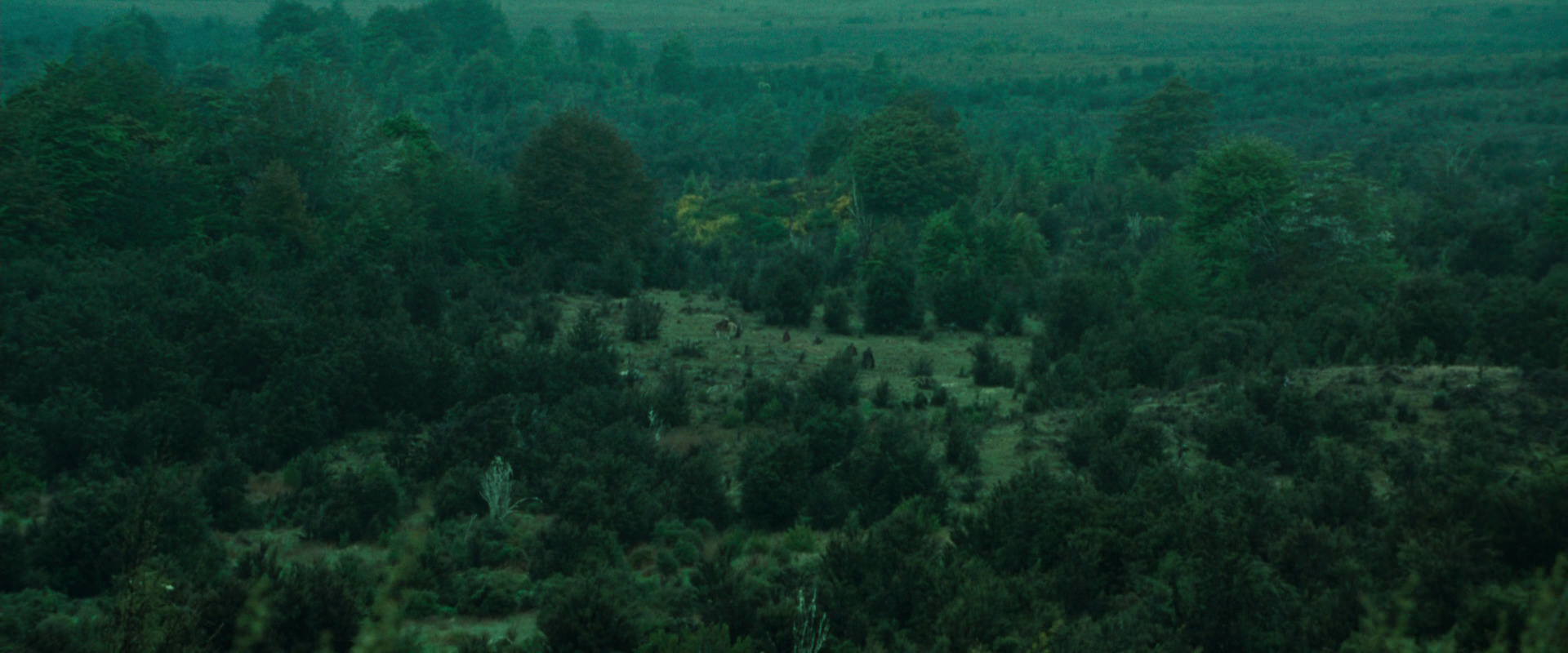 The Lord of the Rings: The Fellowship of the Ring (2001) movie still 7708