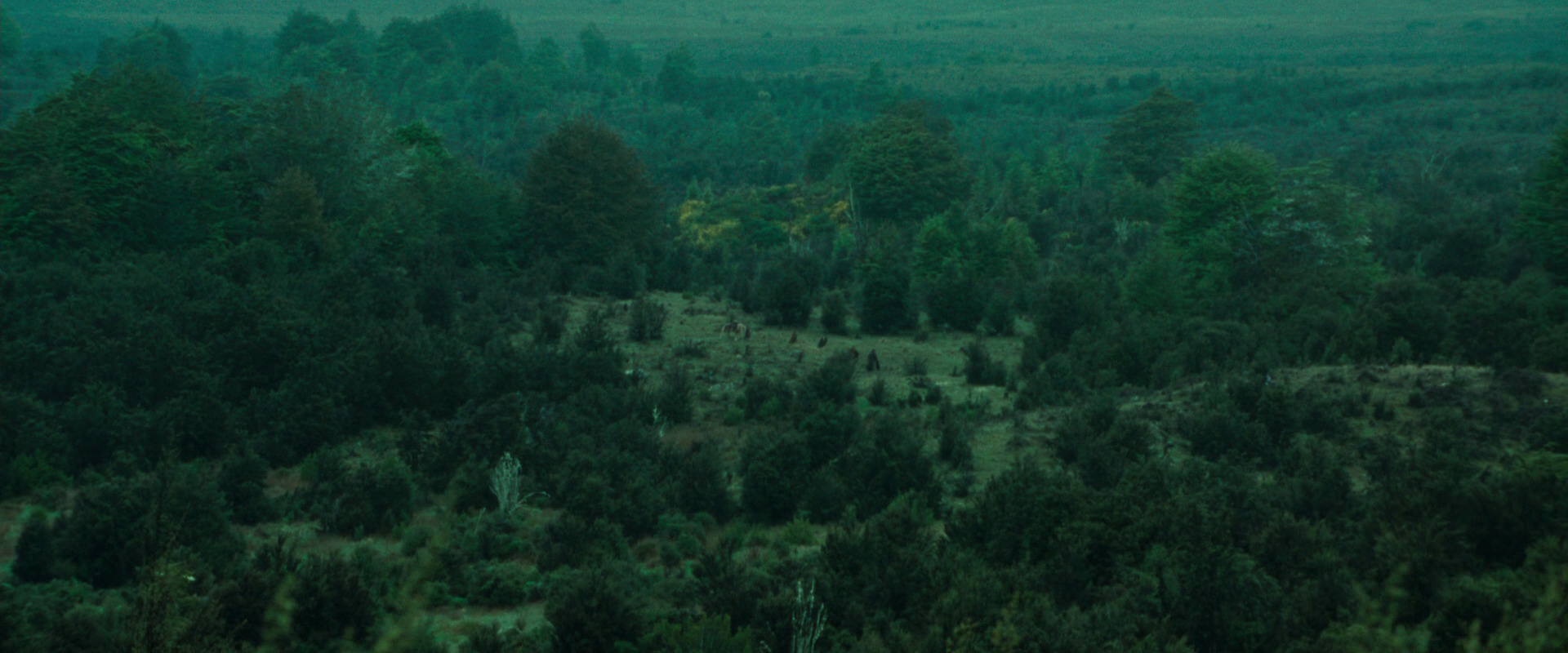 The Lord of the Rings: The Fellowship of the Ring (2001) HD screenshot 7709