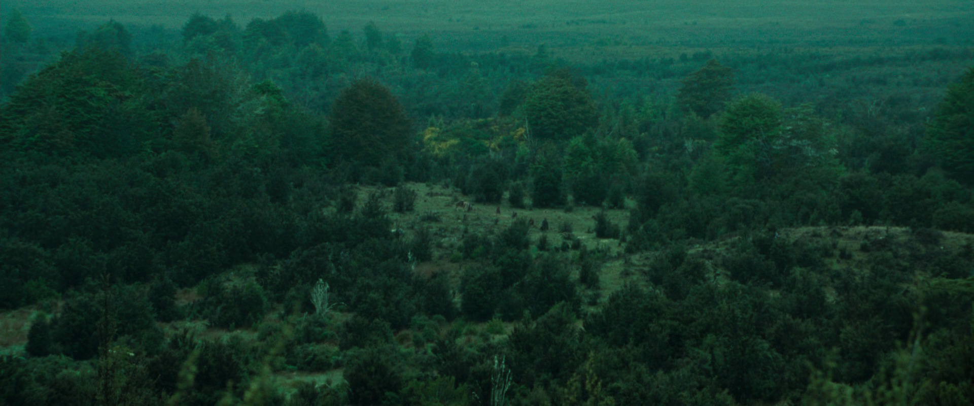 The Lord of the Rings: The Fellowship of the Ring (2001) screencap 7710