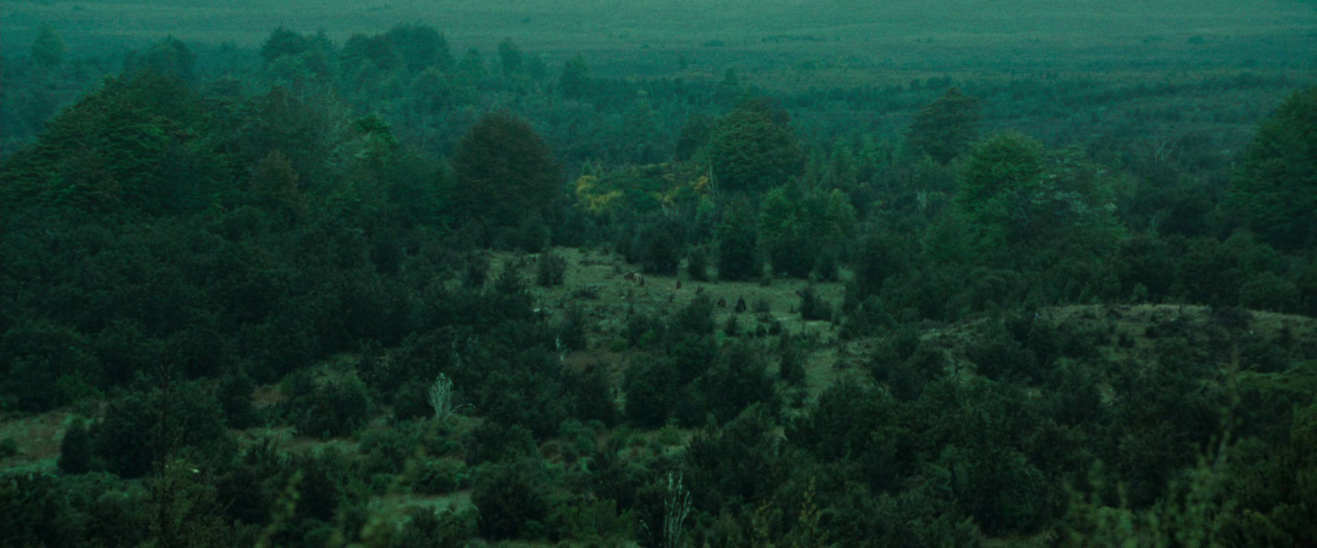 The Lord of the Rings: The Fellowship of the Ring (2001) movie still 7711