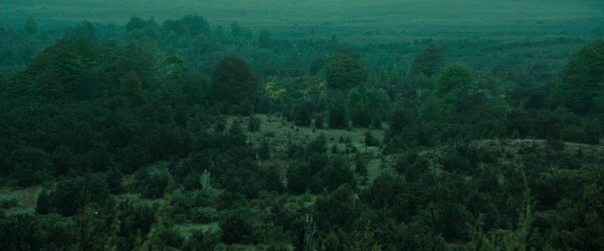 The Lord of the Rings: The Fellowship of the Ring (2001) HD screenshot 7712