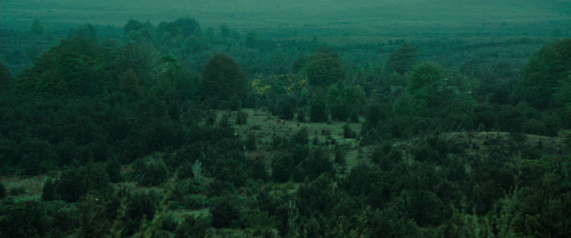 The Lord of the Rings: The Fellowship of the Ring (2001) screencap 7713