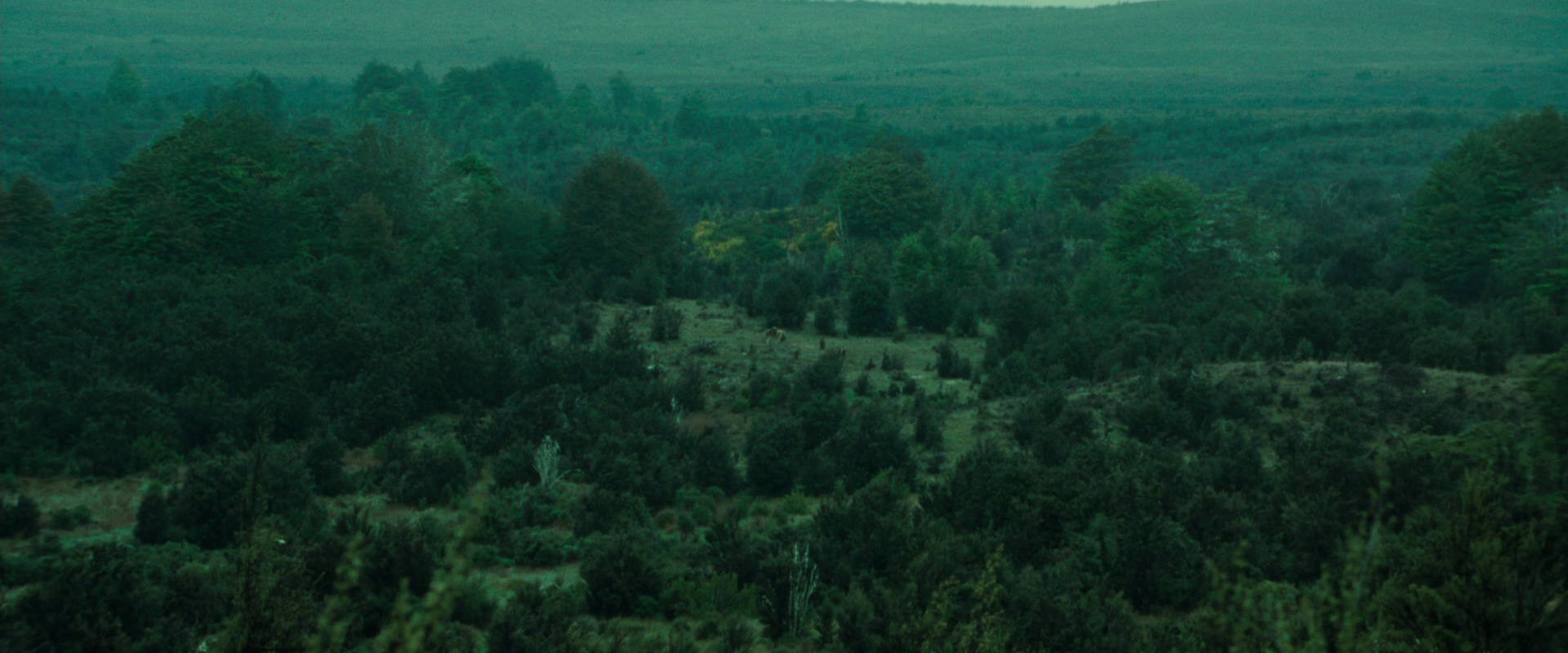 The Lord of the Rings: The Fellowship of the Ring (2001) movie still 7714