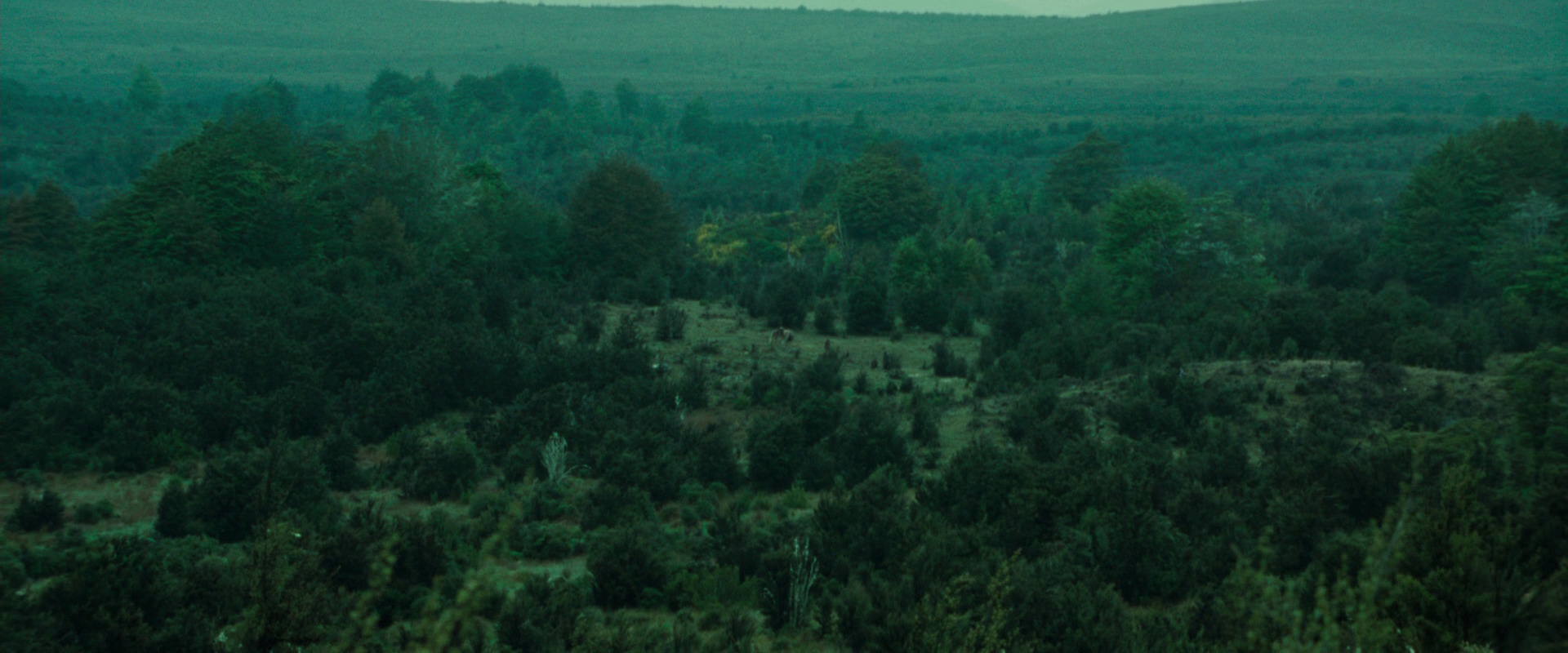 The Lord of the Rings: The Fellowship of the Ring (2001) HD screenshot 7715