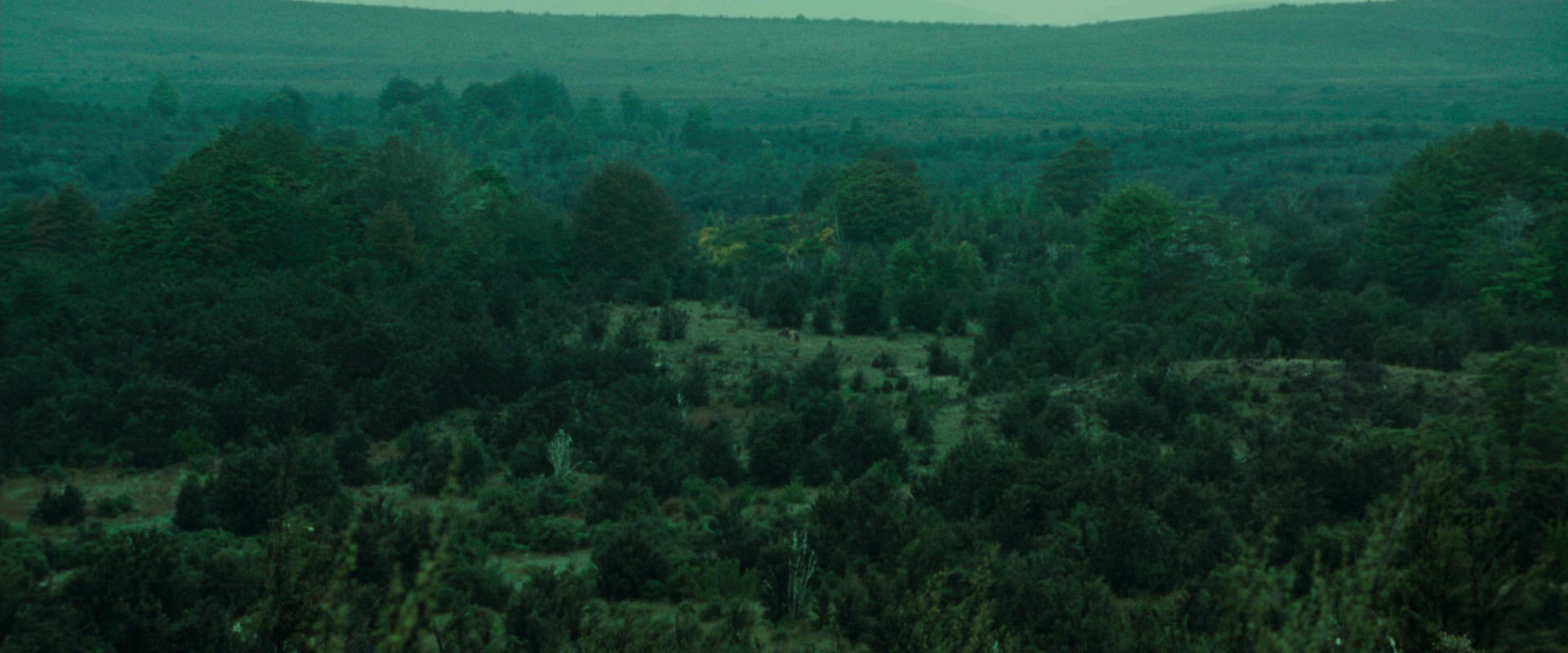 The Lord of the Rings: The Fellowship of the Ring (2001) screencap 7716