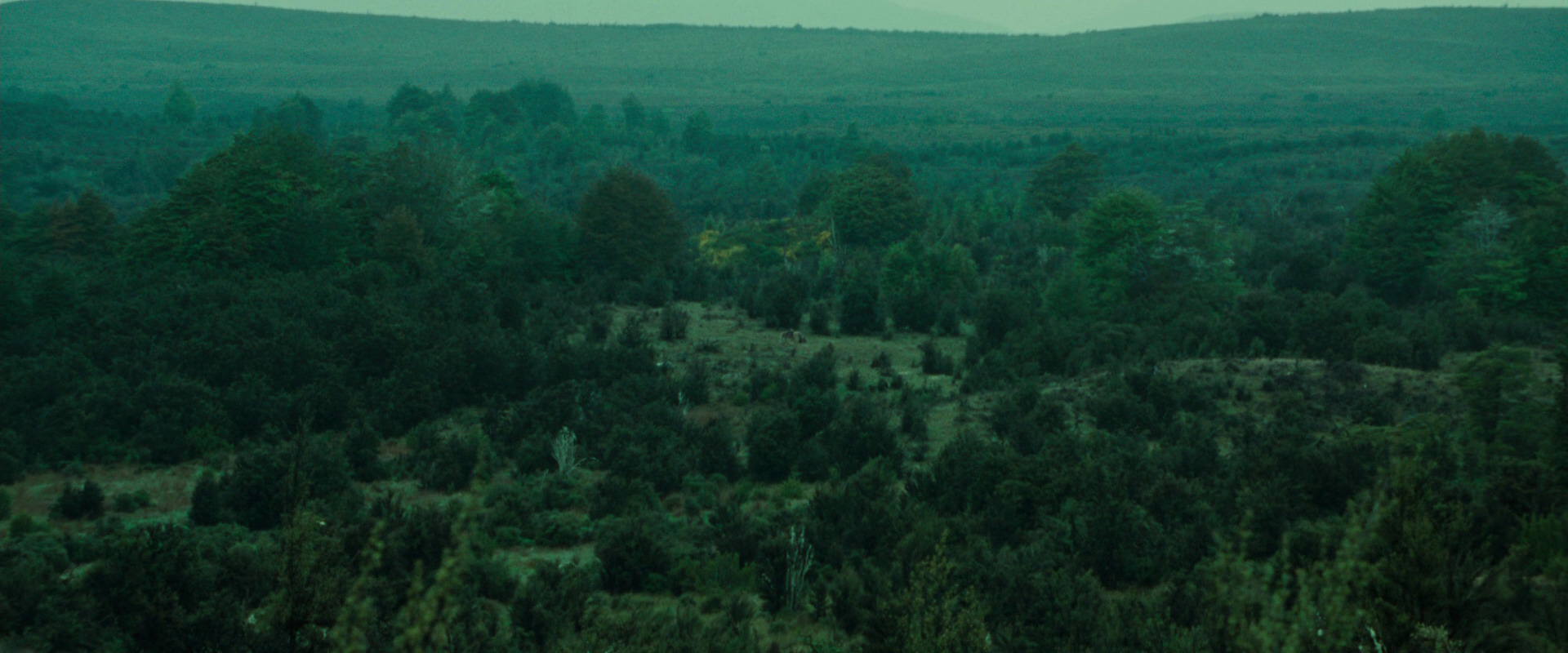 The Lord of the Rings: The Fellowship of the Ring (2001) movie still 7717