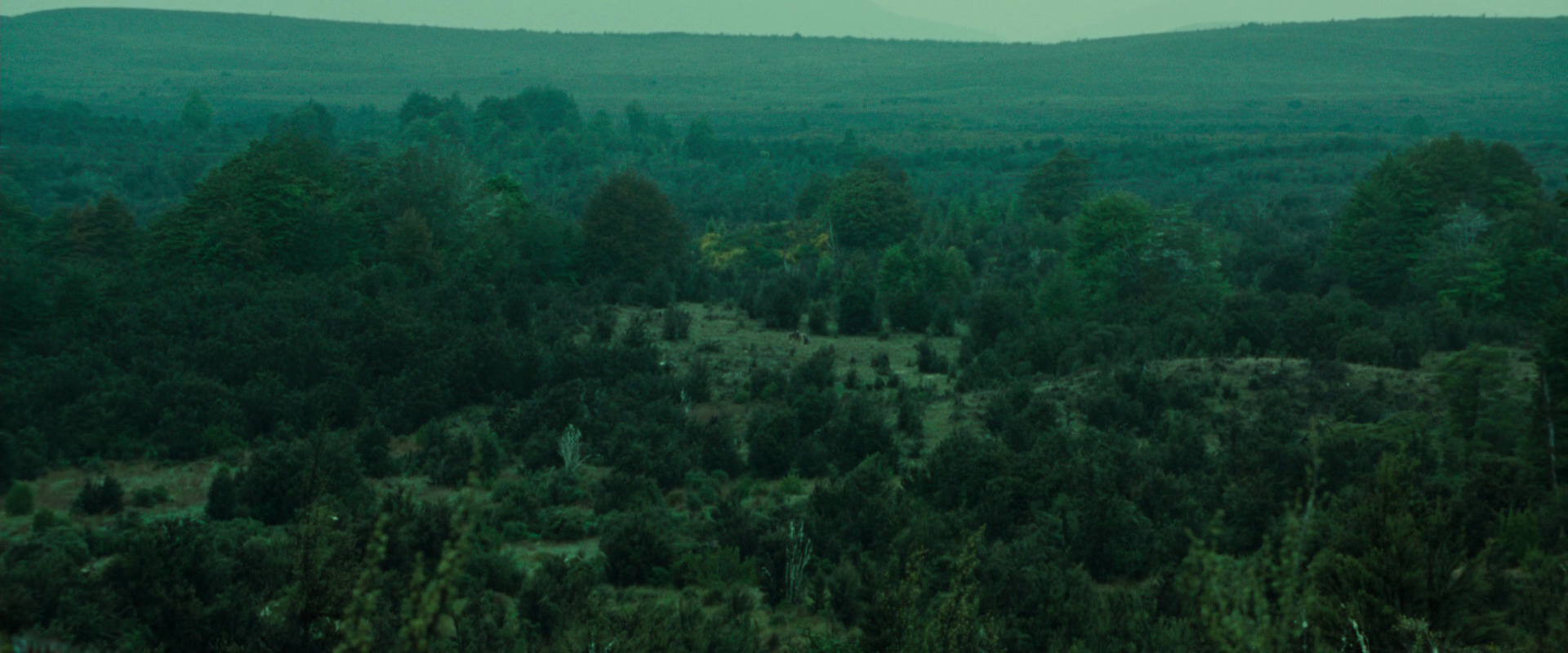 The Lord of the Rings: The Fellowship of the Ring (2001) HD screenshot 7718