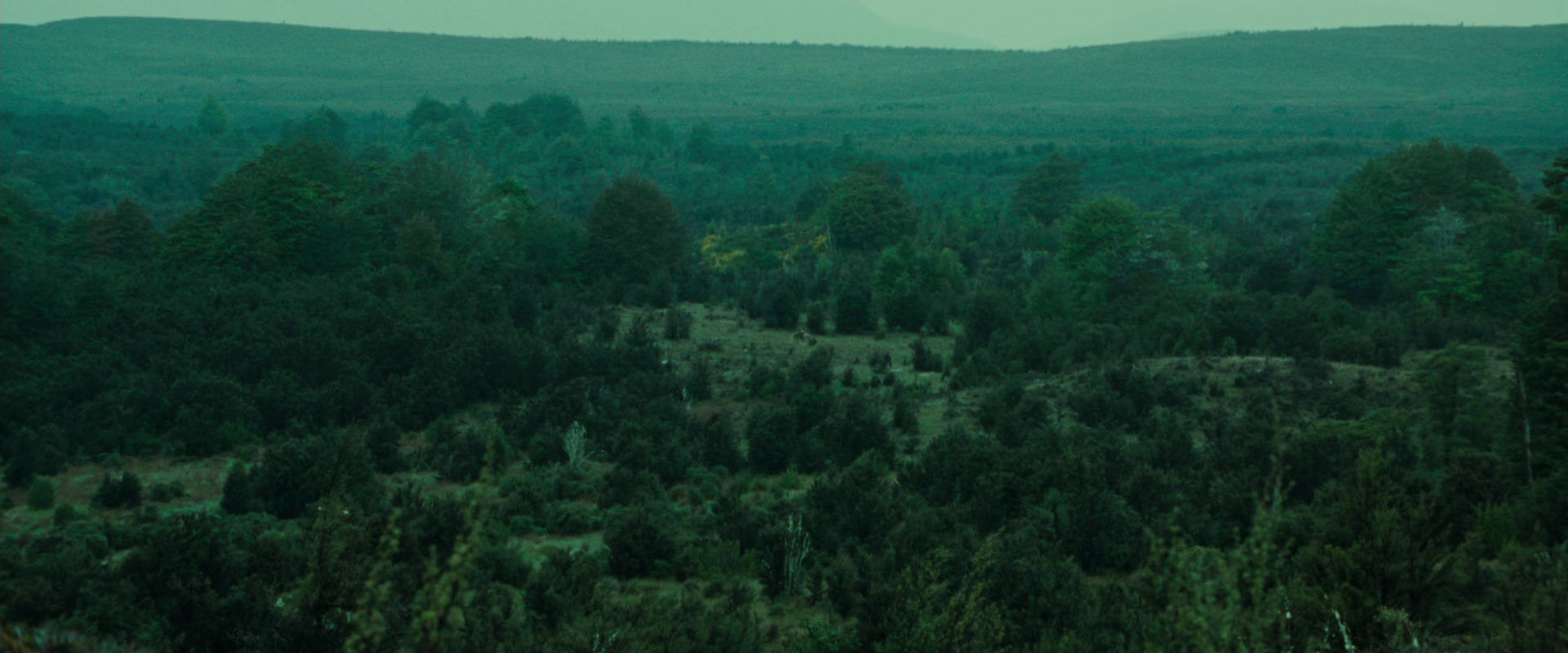 The Lord of the Rings: The Fellowship of the Ring (2001) screencap 7719