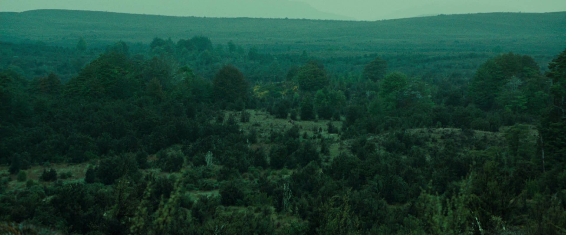 The Lord of the Rings: The Fellowship of the Ring (2001) movie still 7720