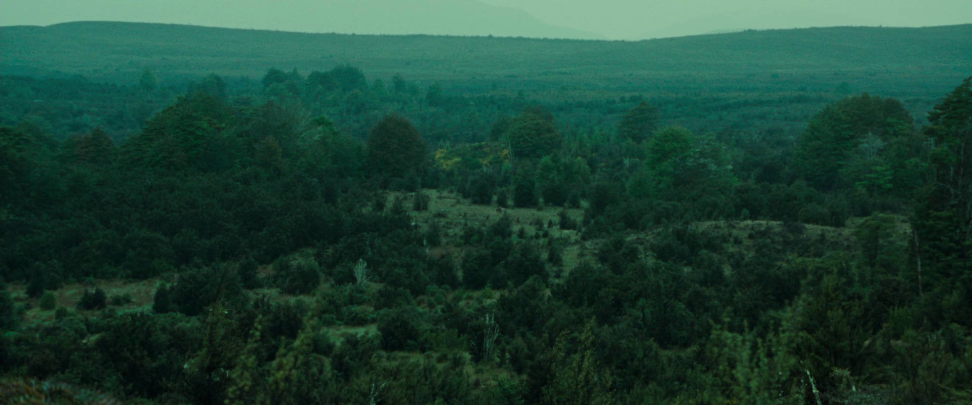The Lord of the Rings: The Fellowship of the Ring (2001) HD screenshot 7721