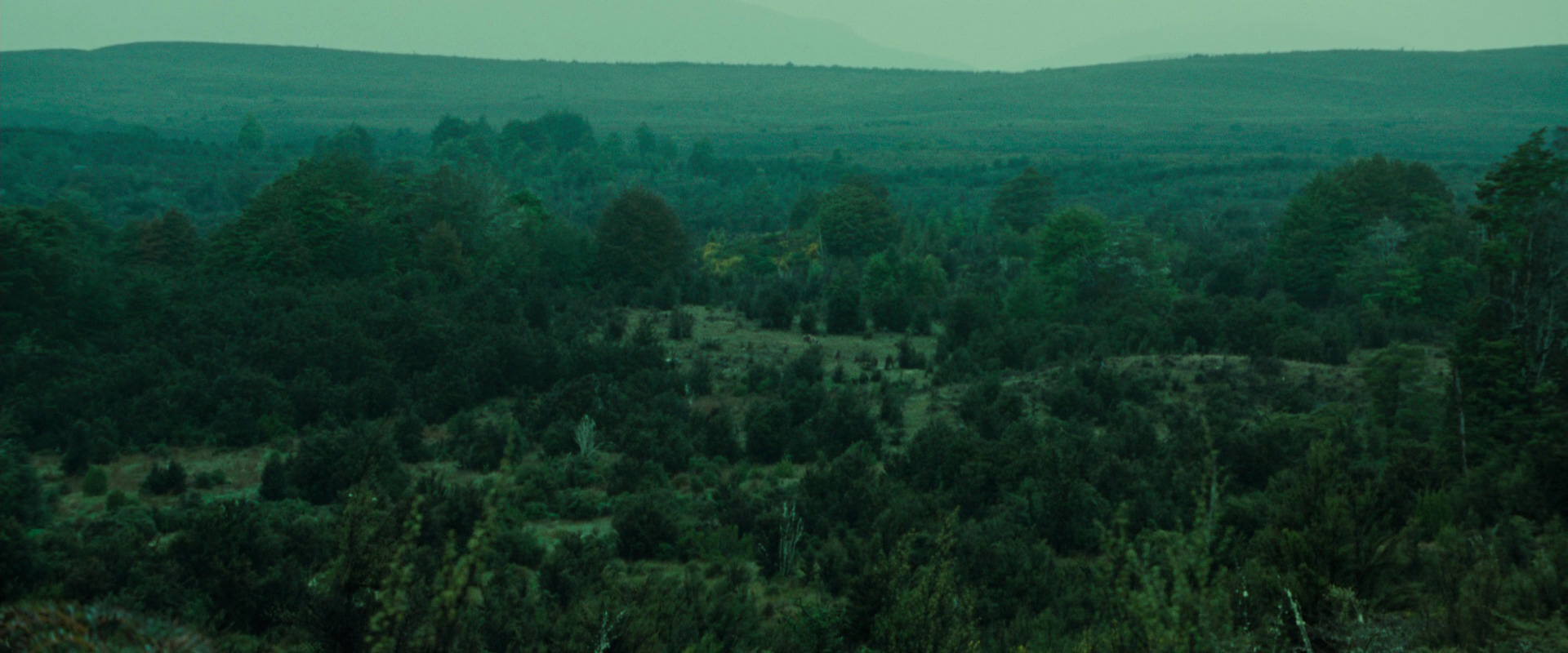 The Lord of the Rings: The Fellowship of the Ring (2001) screencap 7722