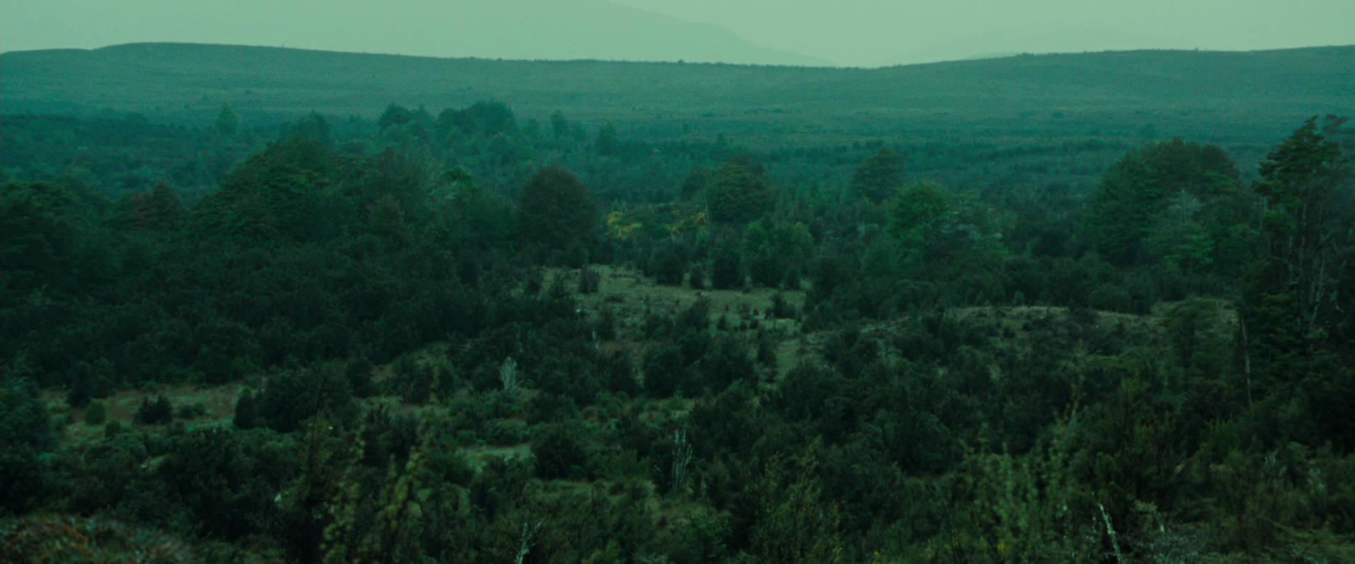 The Lord of the Rings: The Fellowship of the Ring (2001) movie still 7723