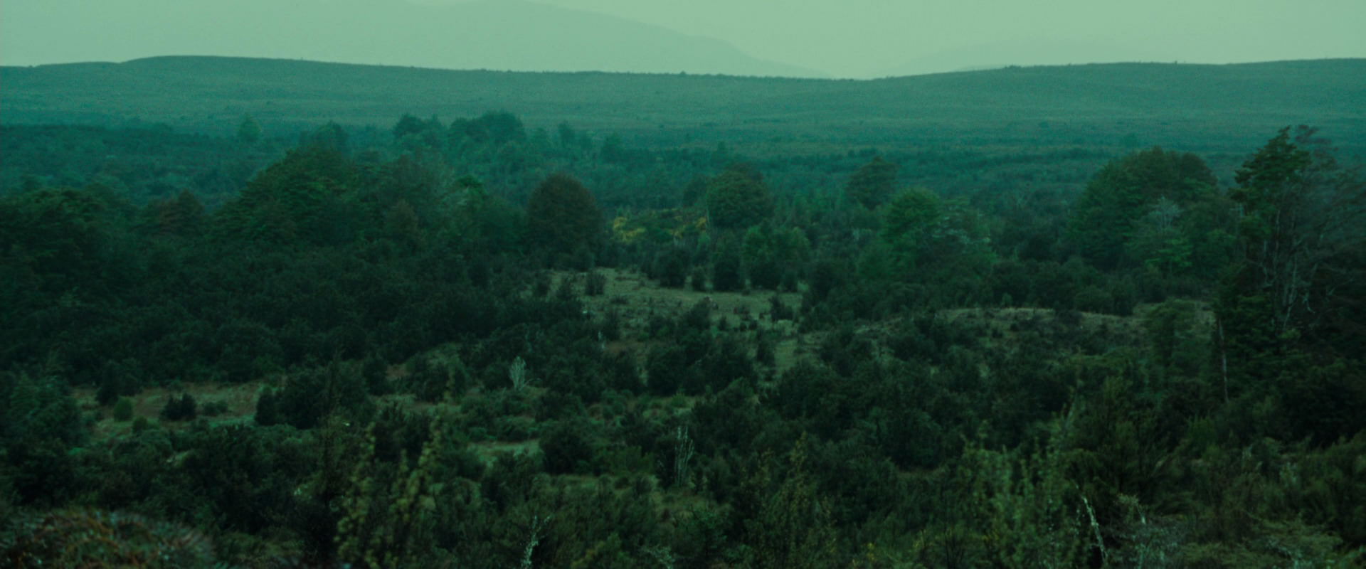 The Lord of the Rings: The Fellowship of the Ring (2001) screencap 7725