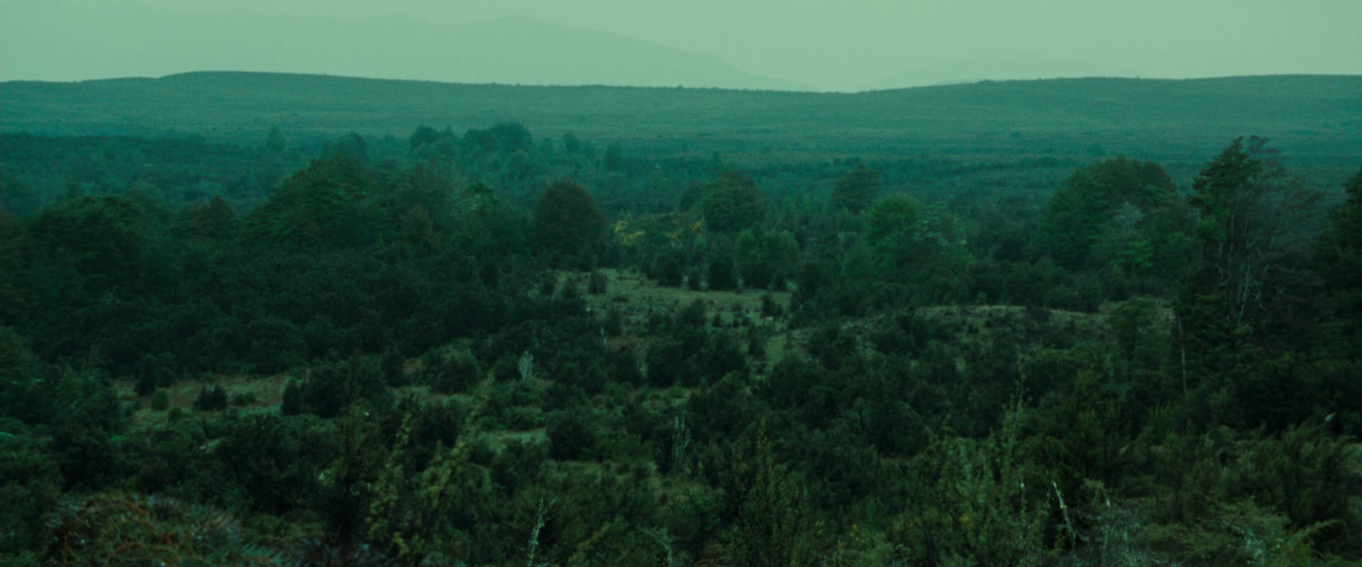 The Lord of the Rings: The Fellowship of the Ring (2001) screencap 7728