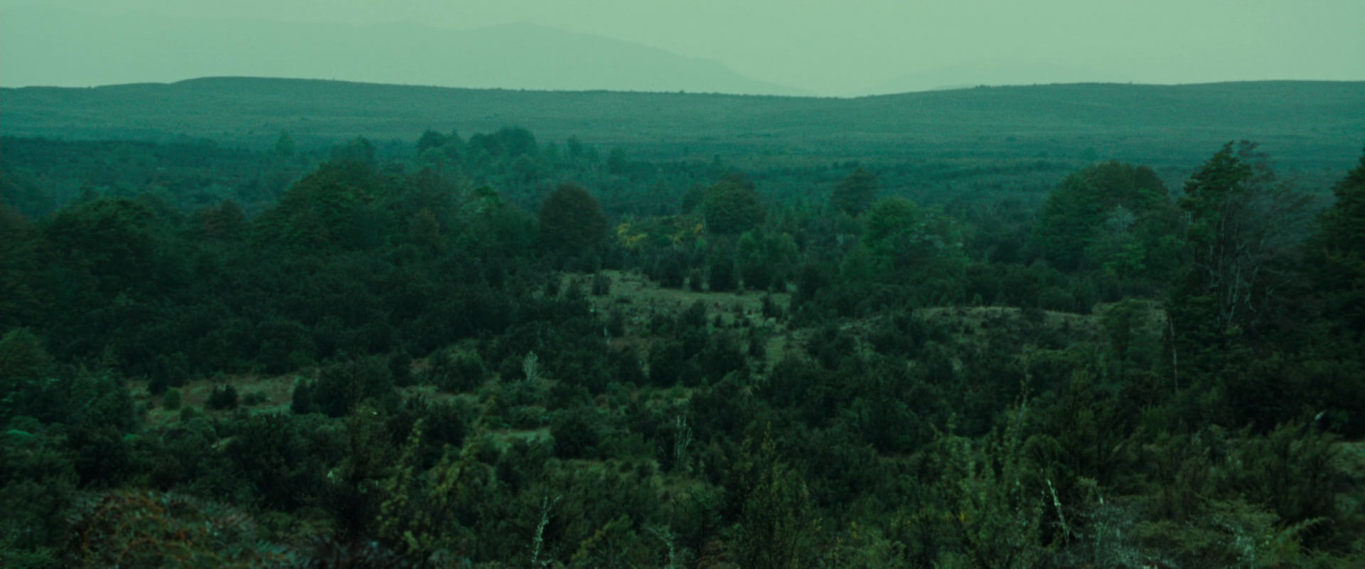 The Lord of the Rings: The Fellowship of the Ring (2001) movie still 7729