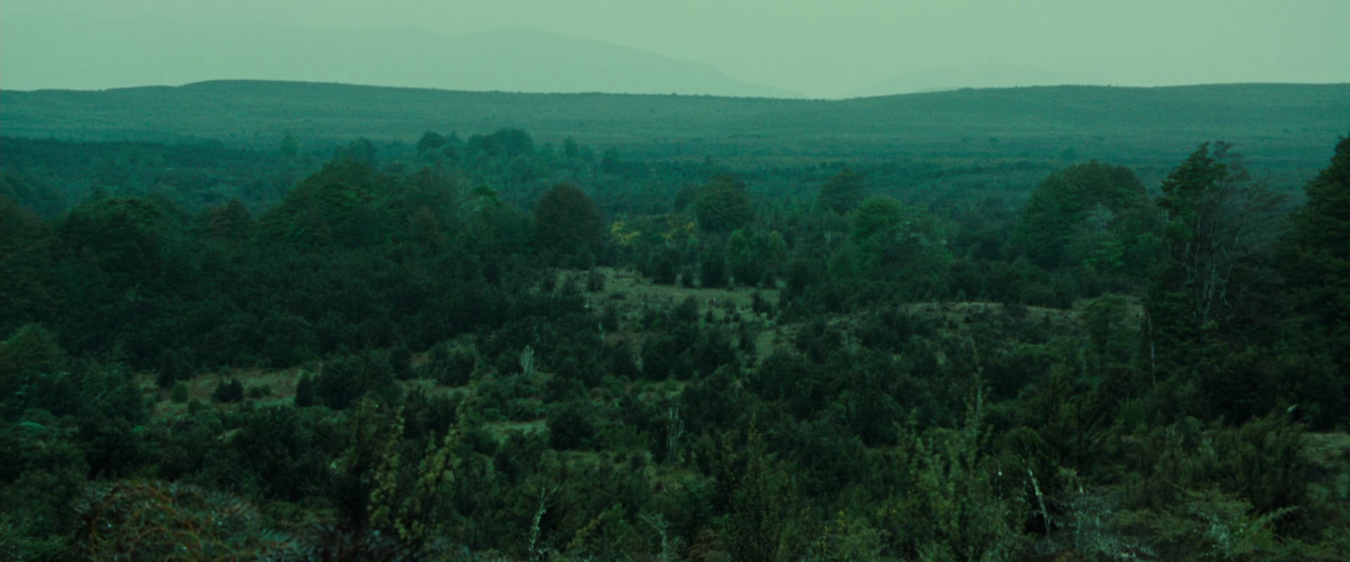 The Lord of the Rings: The Fellowship of the Ring (2001) HD screenshot 7730