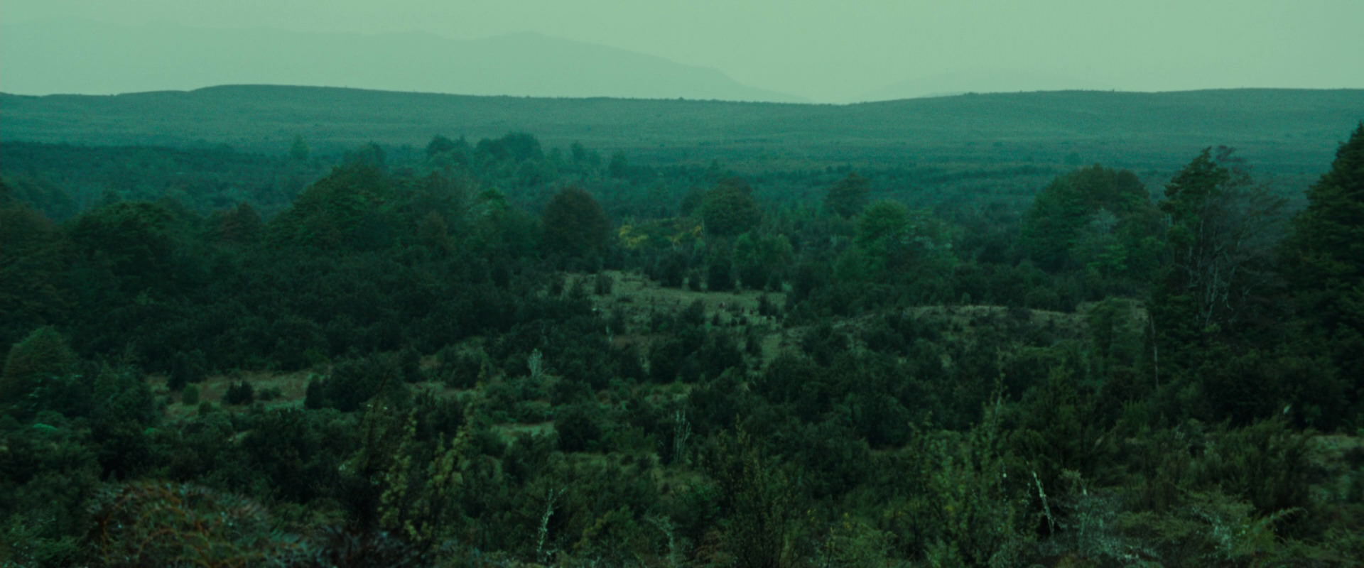 The Lord of the Rings: The Fellowship of the Ring (2001) screencap 7731