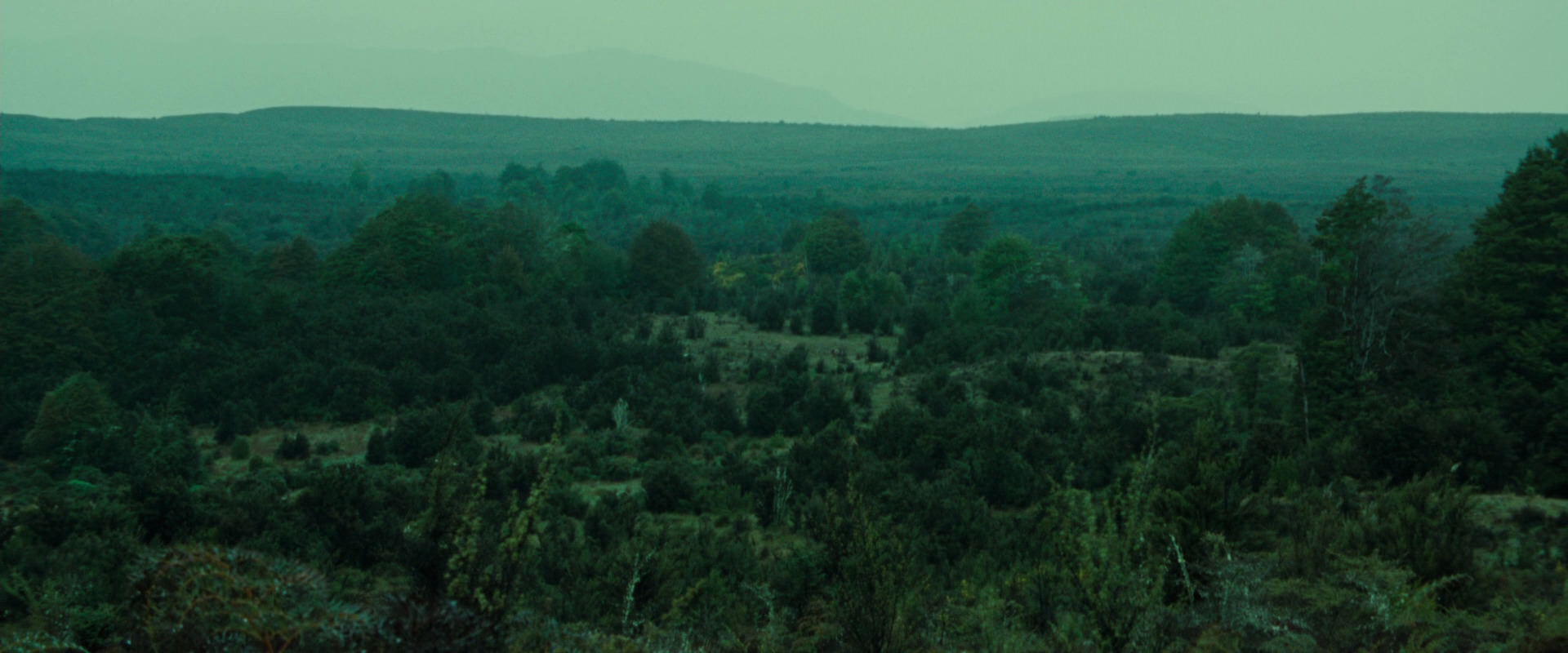 The Lord of the Rings: The Fellowship of the Ring (2001) screencap 7734