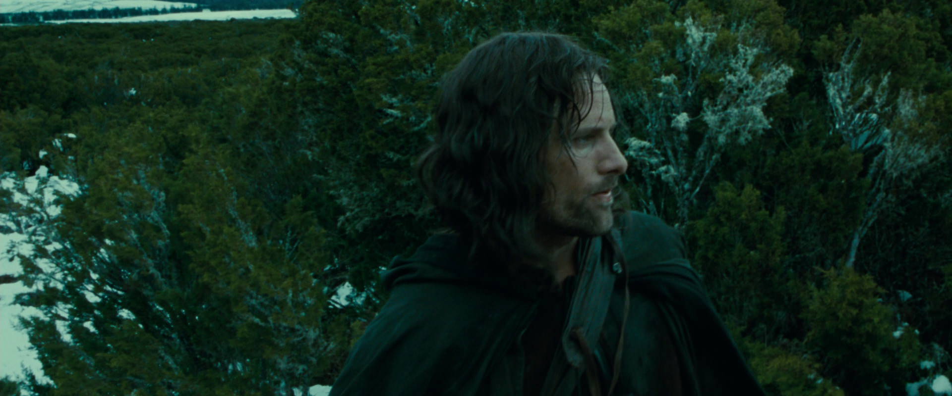 The Lord of the Rings: The Fellowship of the Ring (2001) HD screenshot 7736