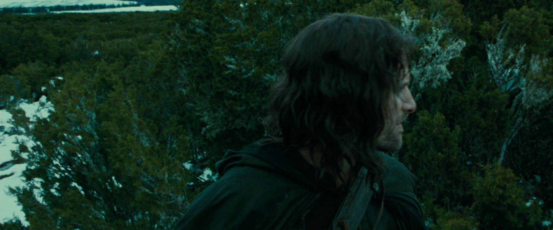 The Lord of the Rings: The Fellowship of the Ring (2001) screencap 7737