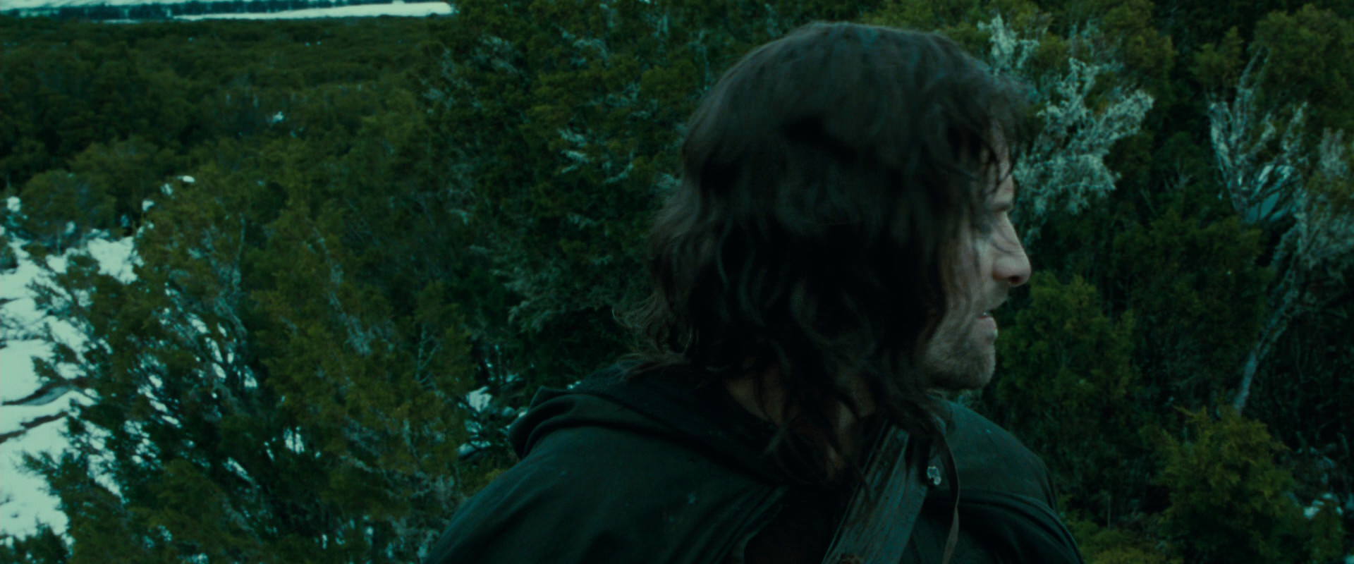 The Lord of the Rings: The Fellowship of the Ring (2001) movie still 7738