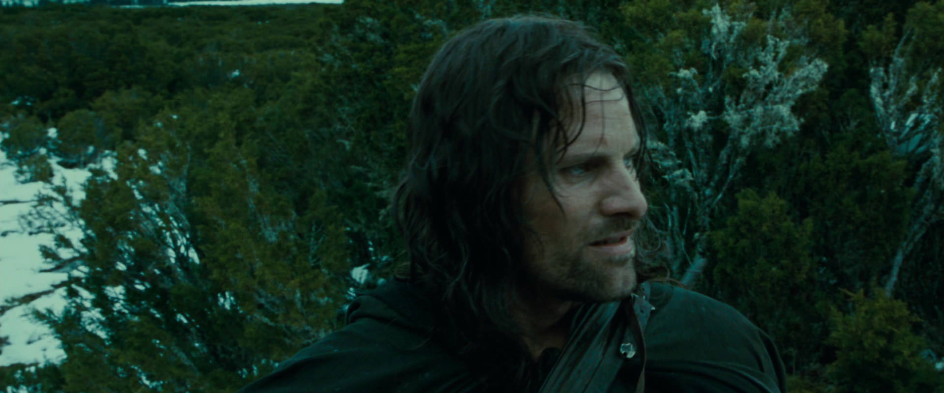 The Lord of the Rings: The Fellowship of the Ring (2001) HD screenshot 7739