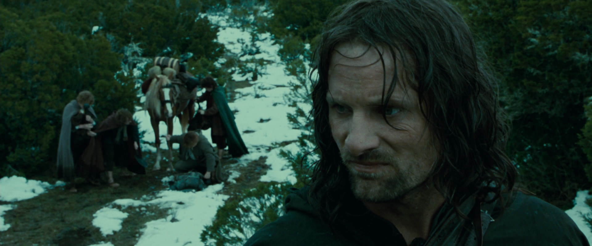 The Lord of the Rings: The Fellowship of the Ring (2001) screencap 7743