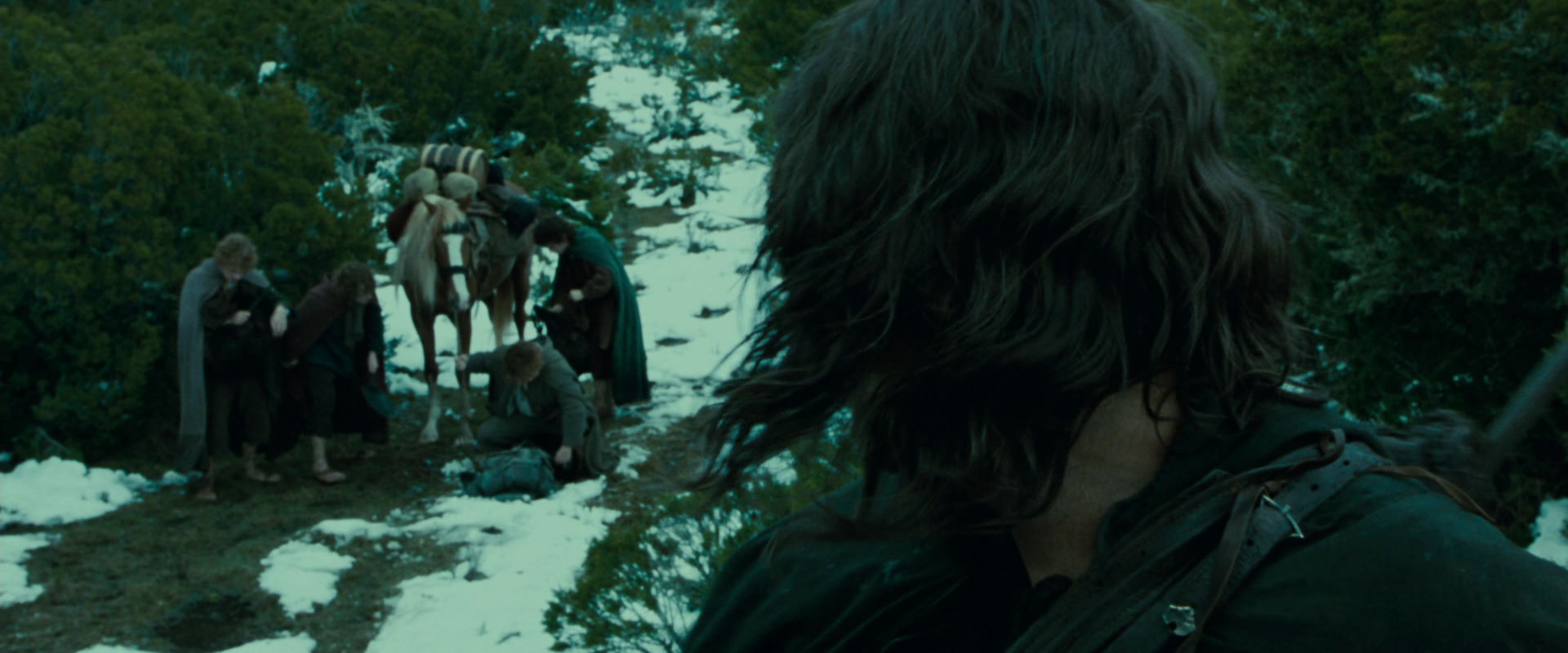 The Lord of the Rings: The Fellowship of the Ring (2001) HD screenshot 7745