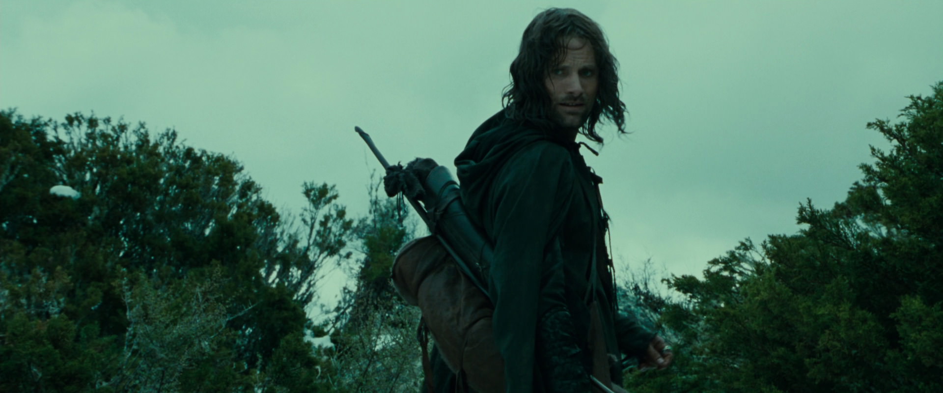 The Lord of the Rings: The Fellowship of the Ring (2001) screencap 7746