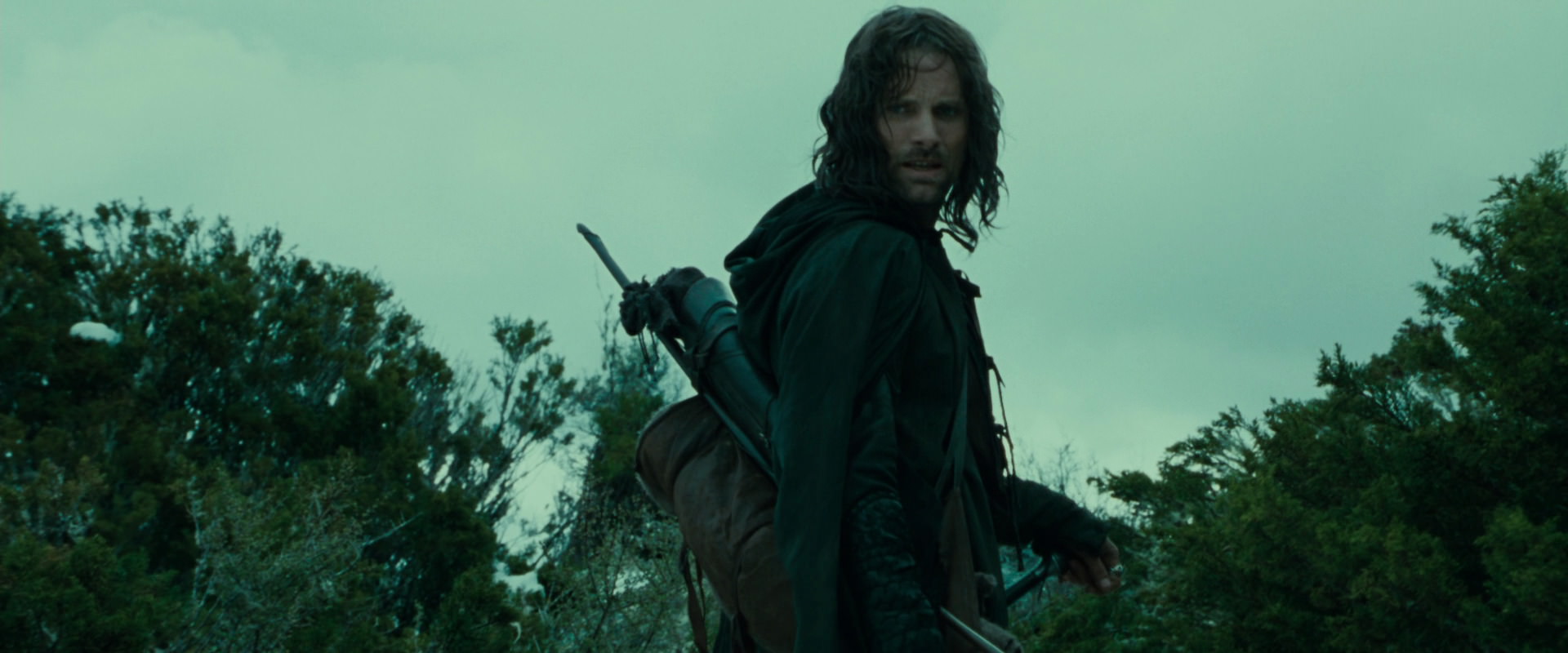 The Lord of the Rings: The Fellowship of the Ring (2001) HD screenshot 7748