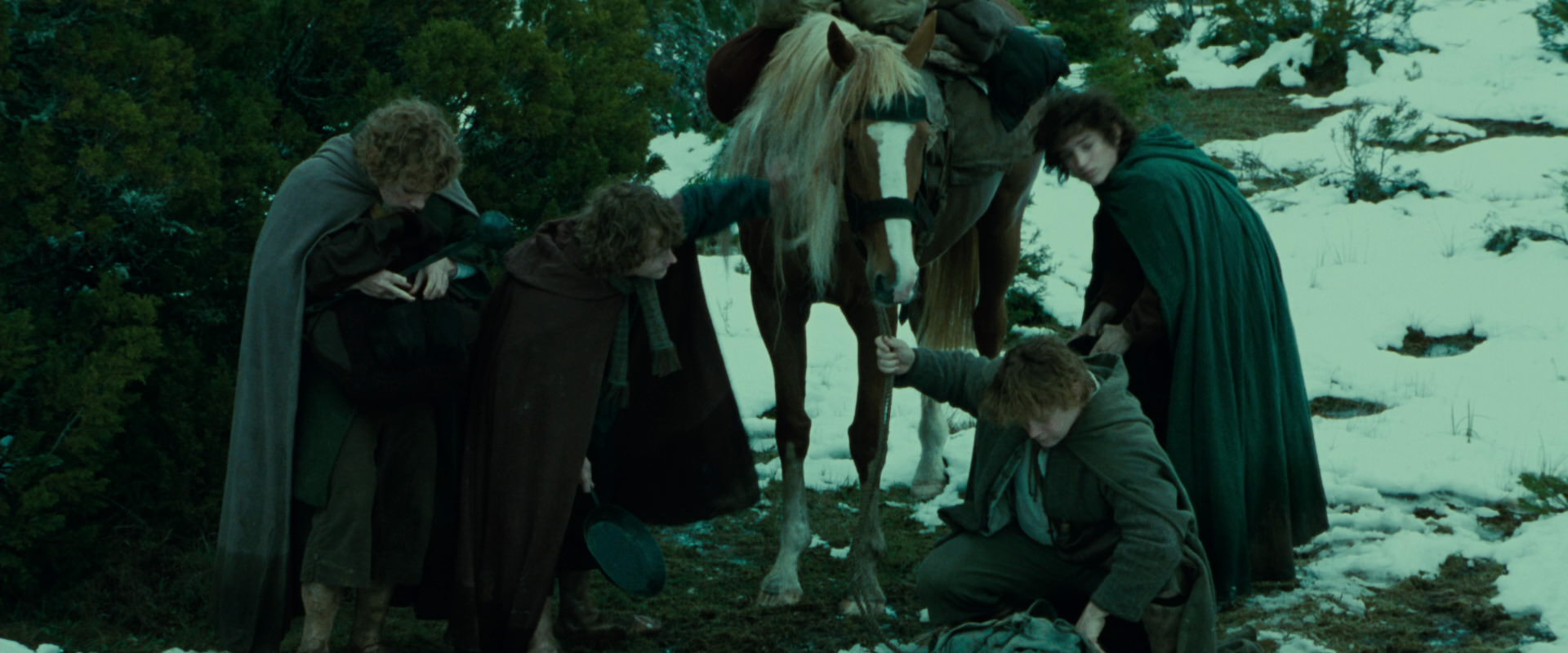 The Lord of the Rings: The Fellowship of the Ring (2001) screencap 7749