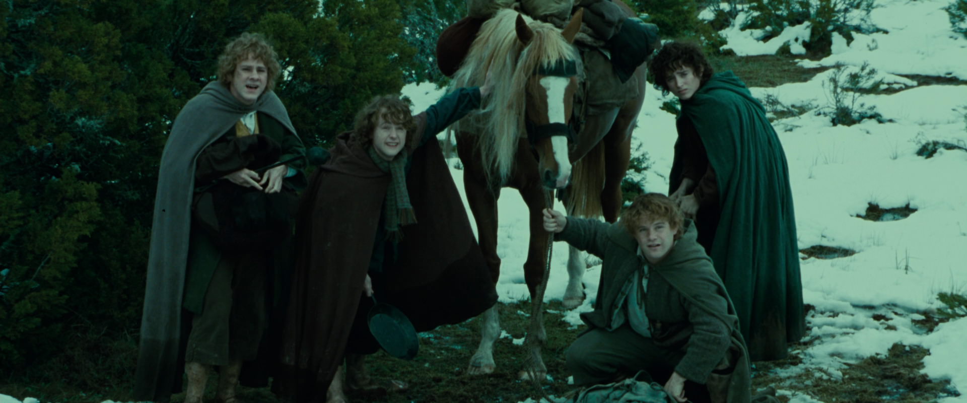 The Lord of the Rings: The Fellowship of the Ring (2001) movie still 7750