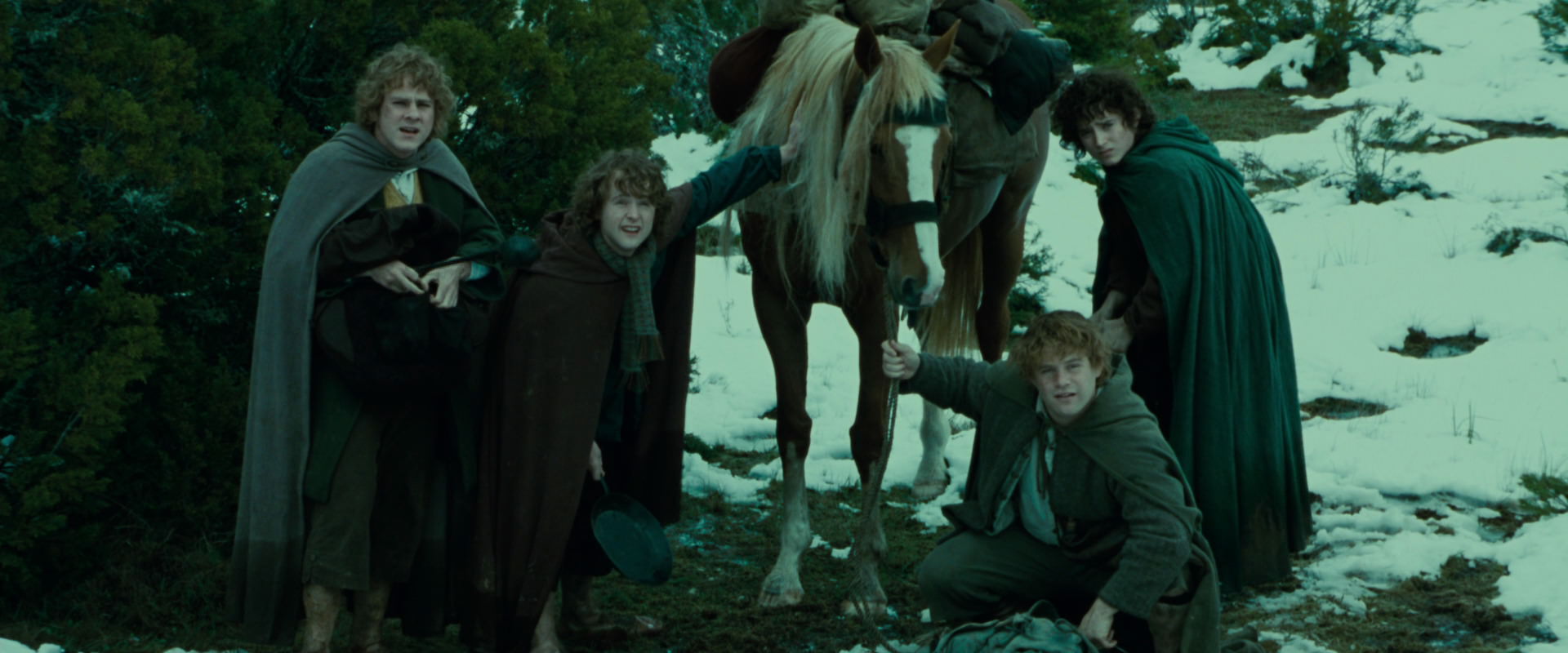 The Lord of the Rings: The Fellowship of the Ring (2001) HD screenshot 7751