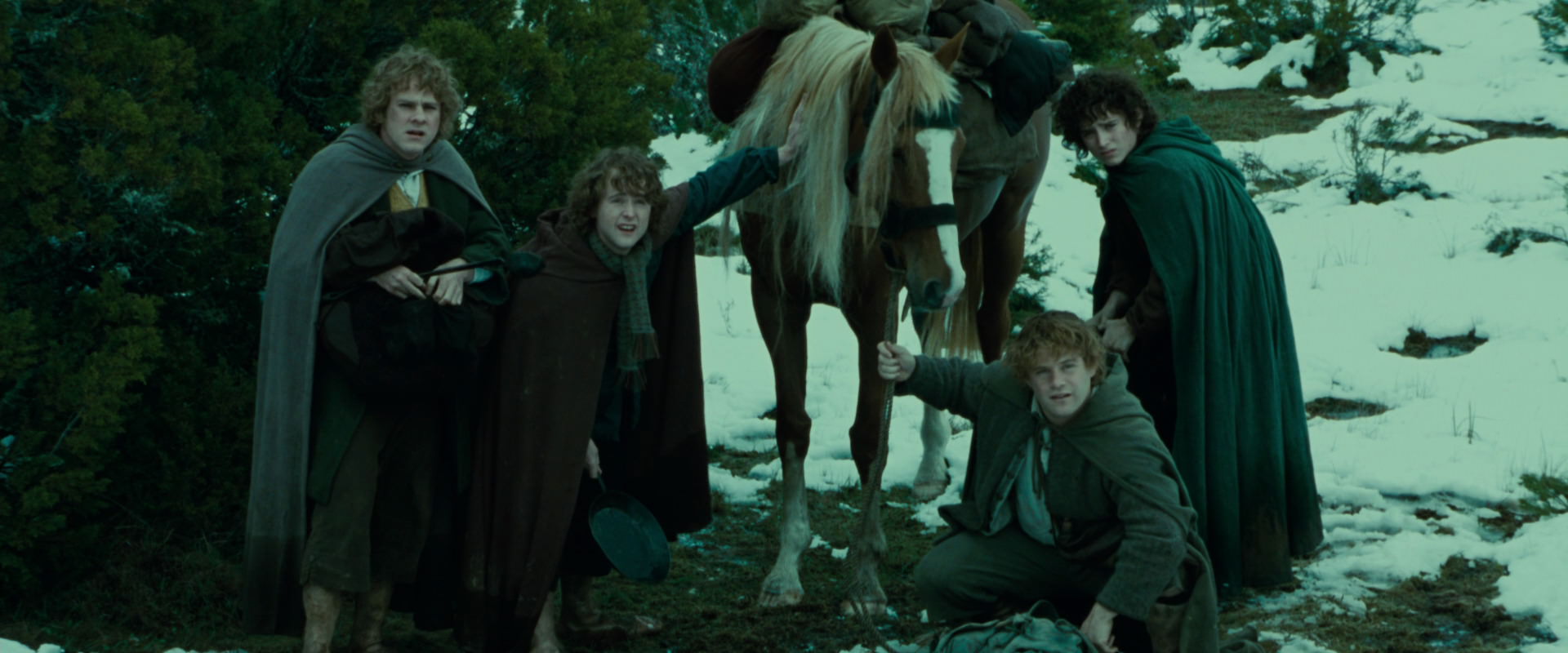 The Lord of the Rings: The Fellowship of the Ring (2001) screencap 7752
