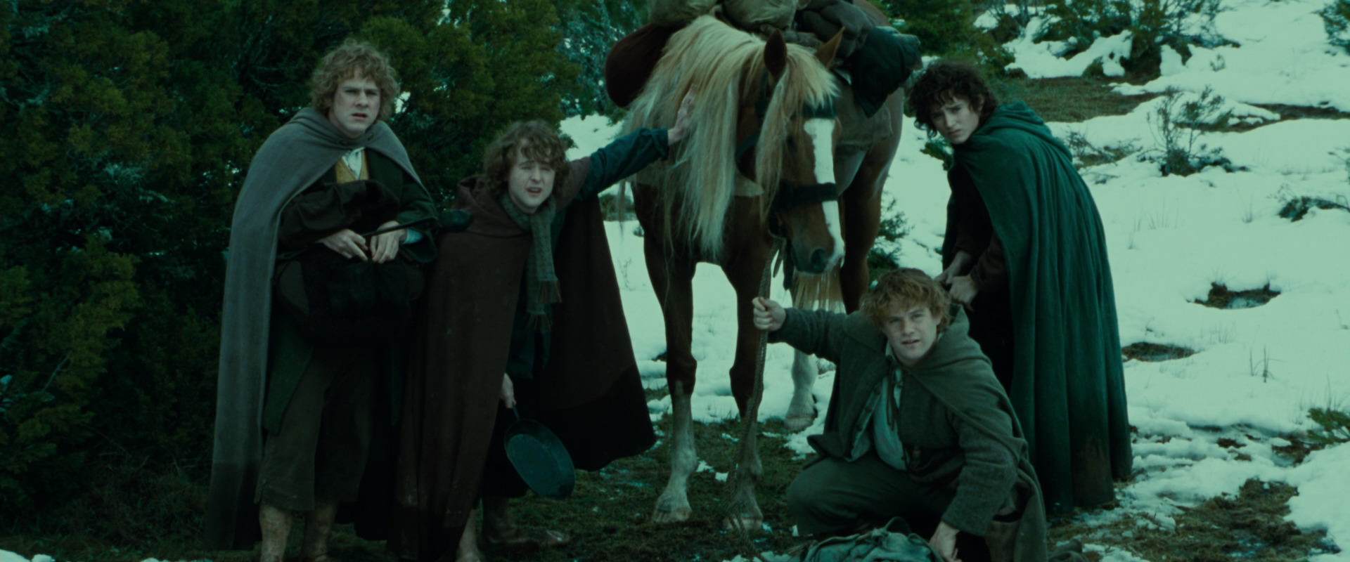 The Lord of the Rings: The Fellowship of the Ring (2001) movie still 7753