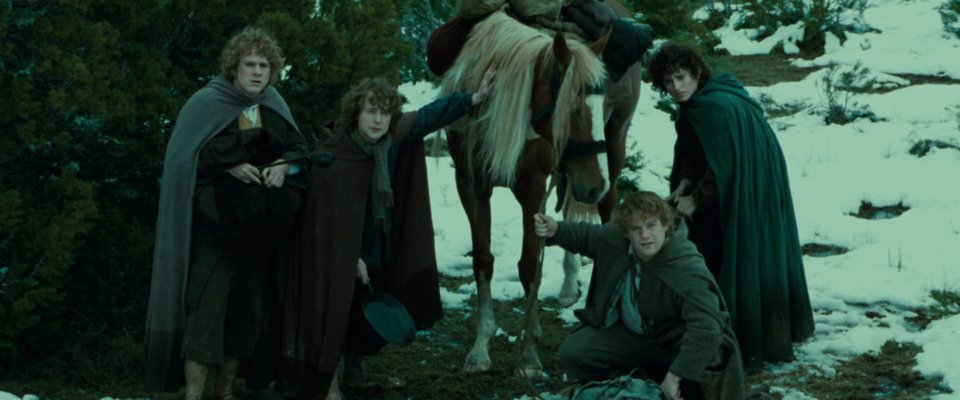 The Lord of the Rings: The Fellowship of the Ring (2001) HD screenshot 7754