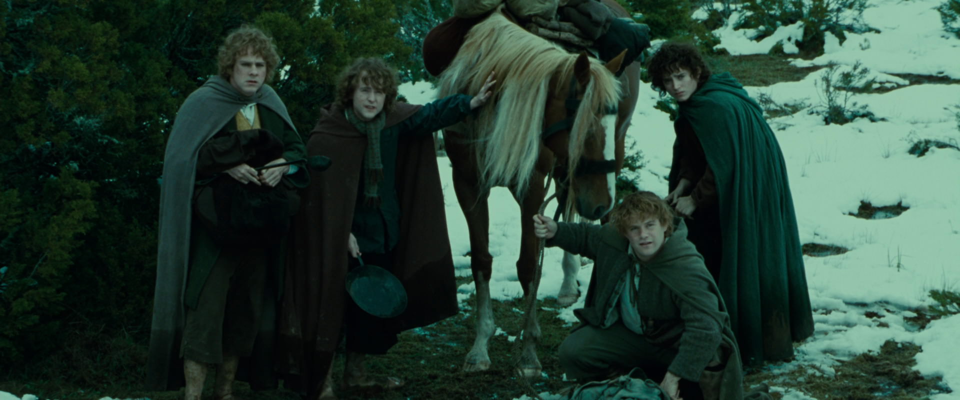 The Lord of the Rings: The Fellowship of the Ring (2001) screencap 7755
